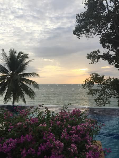 undefined, Chon Buri (Pattaya), Na Chom Thian, Sattahip, Chon Buri (Pattaya), 3 Bedrooms, 550 sqm, Villa For Rent, by Pattanapong Pongpipat, 500230479 - DDproperty.com