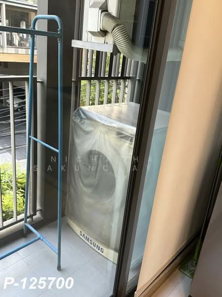 The Tree Sukhumvit 64, Bangkok, Soi Sukhumvit 64, Bang Chak, Phra Khanong, Bangkok, 1 Bedroom, 32 sqm, Condo For Rent, by Nichaphat Sakunchayapha, 500231228 - DDproperty.com