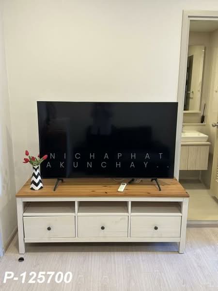 The Tree Sukhumvit 64, Bangkok, Soi Sukhumvit 64, Bang Chak, Phra Khanong, Bangkok, 1 Bedroom, 32 sqm, Condo For Rent, by Nichaphat Sakunchayapha, 500231228 - DDproperty.com