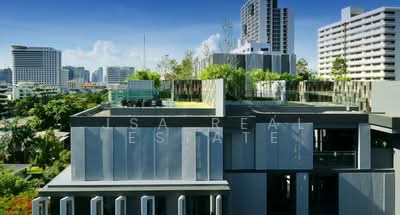 ขาย - Siamese Gioia : ไซมิส จอยญ่า, กรุงเทพ