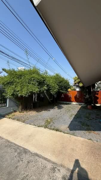 บ้านเดี่ยว ให้เช่า ห่าง MRT ลาดพร้าวประมาณ 2.5 กม. (SPSJP255), กรุงเทพ, จันทรเกษม, จตุจักร, กรุงเทพ, 283 ตร.ม., บ้านเดี่ยว ให้เช่า, โดย Khun Jane, 500231471 - DDproperty.com