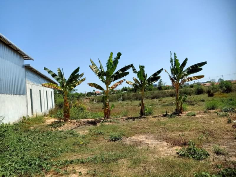 For Sale - ขายที่ดินเปล่า เทศบาลเมืองมุกดาหาร อ.เมืองมุกดาหาร จ.มุกดาหาร, Mukdahan