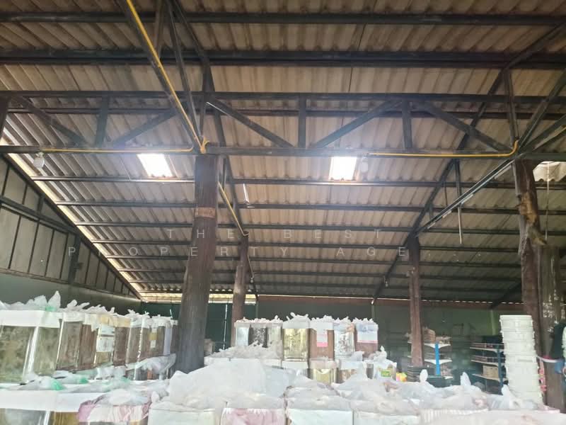 โกดังพร้อมที่ดินชะอวด นครศรีธรรมราช, Nakhon Si Thammarat, Ko Khan, Cha-uat, Nakhon Si Thammarat, , 402 sqm, Warehouse/Factory For Sale, by The Best Property Agent ปอน, 500231804 - DDproperty.com
