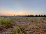 ที่ดินบางจาน เพชรบุรี, เพชรบุรี