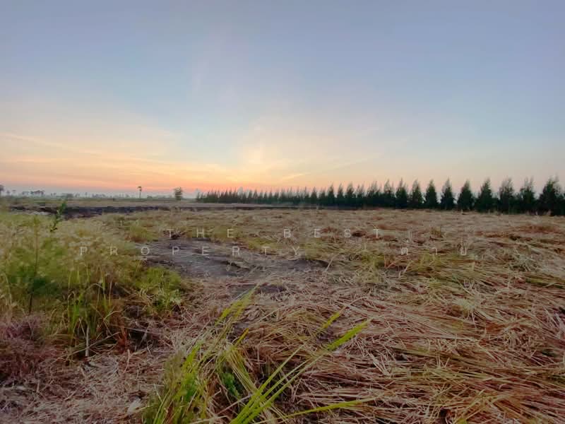 ขาย - ที่ดินบางจาน เพชรบุรี, เพชรบุรี