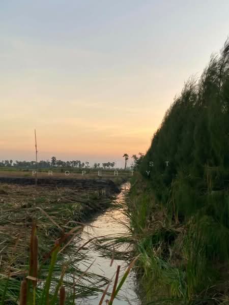 ขาย - ที่ดินบางจาน เพชรบุรี, เพชรบุรี