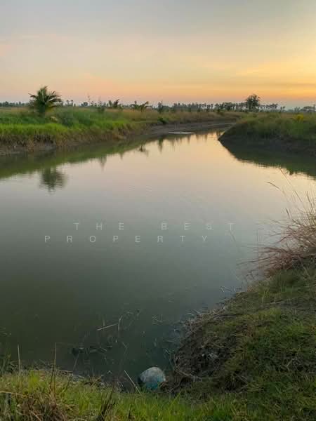 ขาย - ที่ดินบางจาน เพชรบุรี, เพชรบุรี