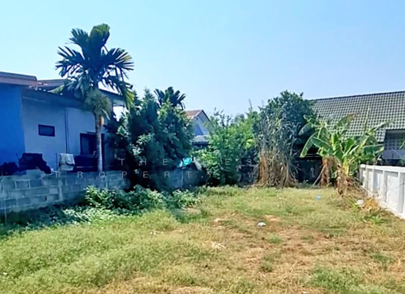 For Sale - บ้านเดี่ยวรอบเมือง ร้อยเอ็ด, Roi Et