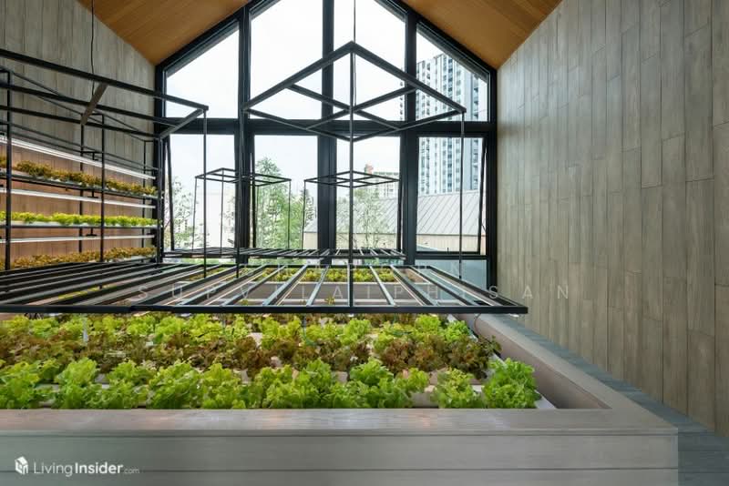 Chapter One ECO Ratchada-Huaikwang : แชปเตอร์ วัน อีโค รัชดา - ห้วยขวาง, กรุงเทพ, ถนนประชาอุทิศ, ห้วยขวาง, ห้วยขวาง, กรุงเทพ, 38 ตร.ม., คอนโด ให้เช่า, โดย Shaporn Supvilaiphisan, 500231903 - DDproperty.com