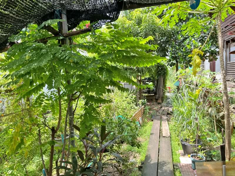 ที่ดินภาษีเจริญ กรุงเทพมหานคร, Bangkok, Bang Khae, Bang Khae, Bangkok, , 196 sqm, Land For Sale, by The Best Property พิ้ง, 500232037 - DDproperty.com