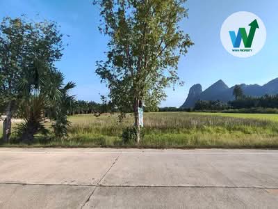 ขาย - ขายที่ดินใกล้ถ้ำน้ำลอดเขาแดงพัทลุง, พัทลุง