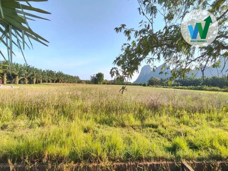Land for sale near Tham Nam Lod Khao Daeng cave, Phatthalung province, Phatthalung, เขาแดง-พญาขัน, Phaya Khan, Muang Phatthalung, Phatthalung, , 7,216 sqm, Land For Sale, by สุมนทา กรรณนุช, 500232066 - DDproperty.com