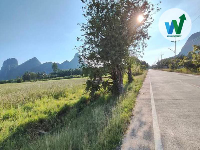 Land for sale near Tham Nam Lod Khao Daeng cave, Phatthalung province, Phatthalung, เขาแดง-พญาขัน, Phaya Khan, Muang Phatthalung, Phatthalung, , 7,216 sqm, Land For Sale, by สุมนทา กรรณนุช, 500232066 - DDproperty.com