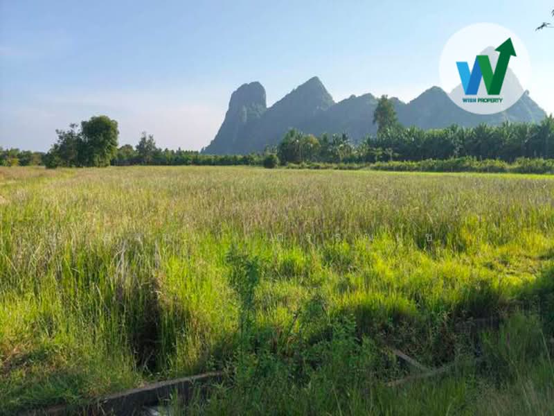 Land for sale near Tham Nam Lod Khao Daeng cave, Phatthalung province, Phatthalung, เขาแดง-พญาขัน, Phaya Khan, Muang Phatthalung, Phatthalung, , 7,216 sqm, Land For Sale, by สุมนทา กรรณนุช, 500232066 - DDproperty.com