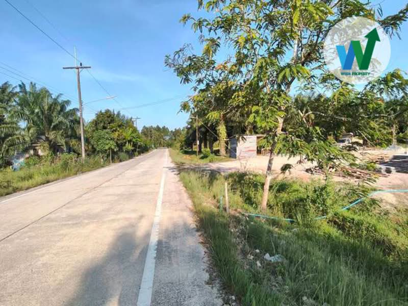 ขาย - ขายที่ดินใกล้ถ้ำน้ำลอดเขาแดงพัทลุง, พัทลุง