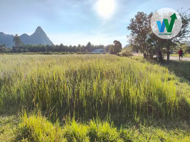 Land for sale near Tham Nam Lod Khao Daeng cave, Phatthalung province, Phatthalung, เขาแดง-พญาขัน, Phaya Khan, Muang Phatthalung, Phatthalung, , 7,216 sqm, Land For Sale, by สุมนทา กรรณนุช, 500232066 - DDproperty.com