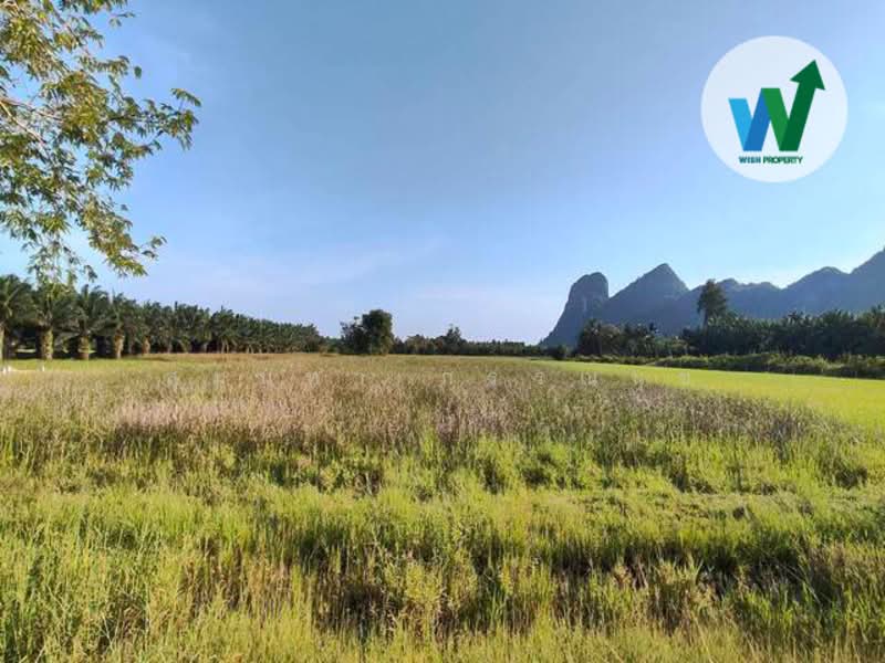 Land for sale near Tham Nam Lod Khao Daeng cave, Phatthalung province, Phatthalung, เขาแดง-พญาขัน, Phaya Khan, Muang Phatthalung, Phatthalung, , 7,216 sqm, Land For Sale, by สุมนทา กรรณนุช, 500232066 - DDproperty.com