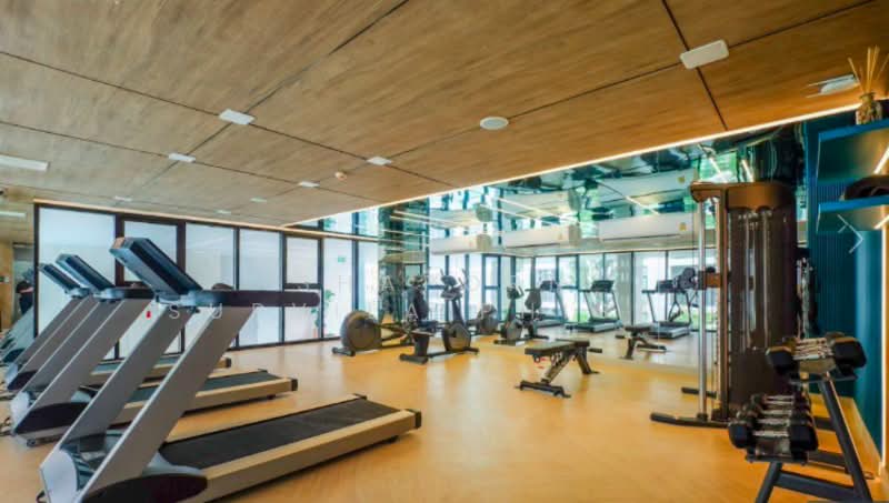 Ivory Ratchada-Ladprao, Bangkok, Soi Ratchadaphisek 32 Ratchadaphisek Road, Chan Kasem, Chatuchak, Bangkok, 1 Bedroom, 32 sqm, Condo For Rent, by Shaporn Supvilaiphisan, 500232078 - DDproperty.com