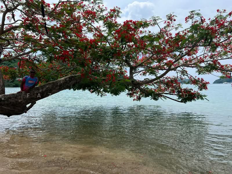 For Rent - Beachfront 1BR Ao Makham Panwa 20m to Beach | Private Garden Retreat, Phuket