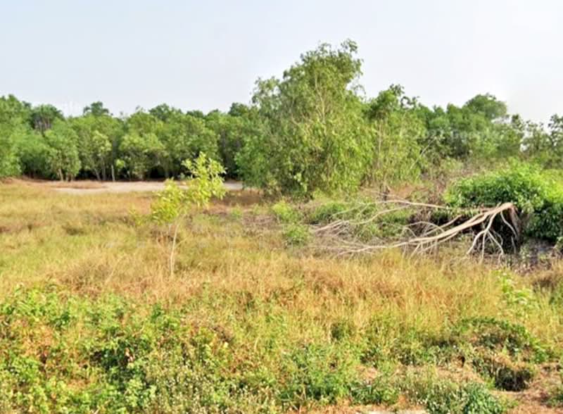 ขาย - ที่ดินคลองหลวง ปทุมธานี, ปทุมธานี
