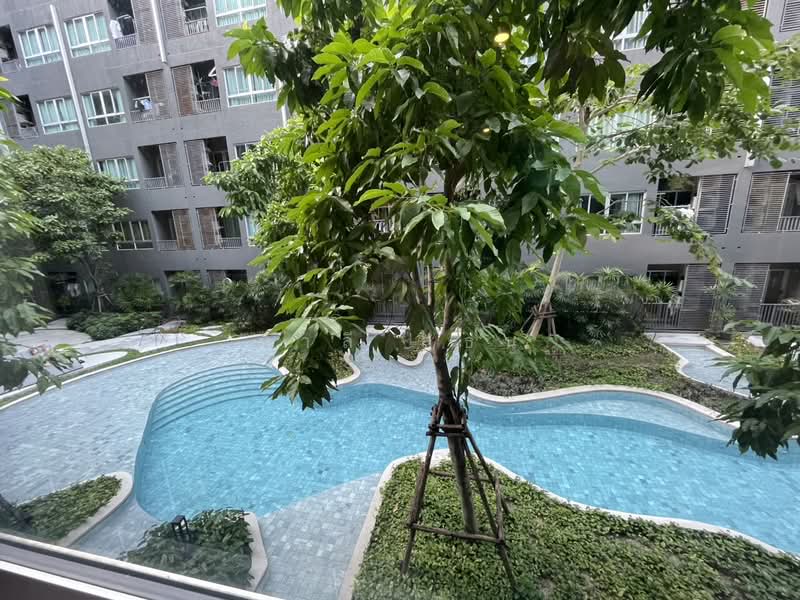Elio Del Moss Phaholyothin 34, Bangkok, Soi Phahonyothin 34 Yaek 1, Sena Nikhom, Chatuchak, Bangkok, 1 Bedroom, 30 sqm, Condo For Sale, by มาลี สุธน, 500232362 - DDproperty.com