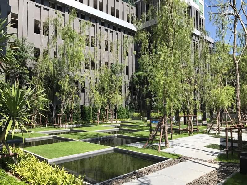 Rhythm Sukhumvit 36-38, Bangkok, 55 Soi Sukhumvit 36, Sukhumvit Road, Phra Kanong, Khlong Toei, Bangkok, 2 Bedrooms, 56 sqm, Condo For Rent, by Boonraksa Sopak, 500232363 - DDproperty.com