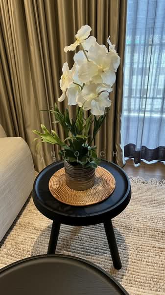 Muniq Langsuan, Bangkok, Soi Tonson, Lumphini, Pathum Wan, Bangkok, 1 Bedroom, 55 sqm, Condo For Rent, by Intouch Abhinorasaeth, 500232396 - DDproperty.com