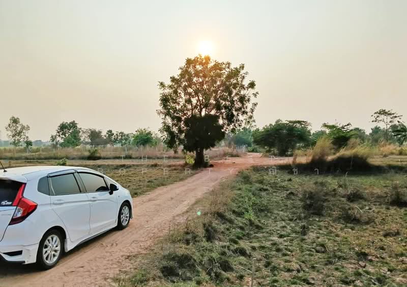 ที่ดินหัวรอ พิษณุโลก, พิษณุโลก, หัวรอ, เมืองพิษณุโลก, พิษณุโลก, 412 ตร.ม., ที่ดิน ขาย, โดย The Best Property ณิชา, 500232512 - DDproperty.com