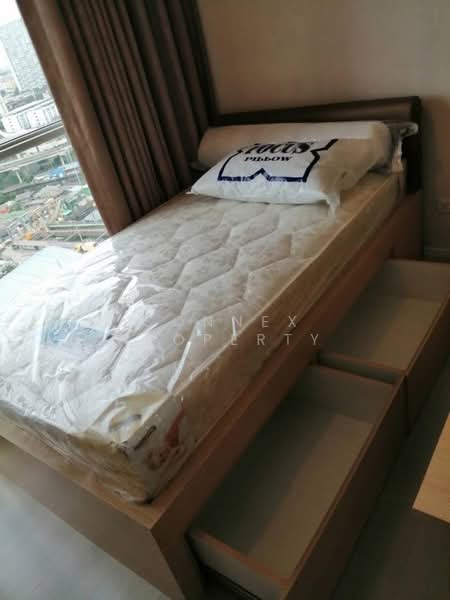 Aspire Sukhumvit 48, Bangkok, Sukhumvit Road, Phra Kanong, Khlong Toei, Bangkok, 2 Bedrooms, 54 sqm, Condo For Rent, by Connex Property, 500232556 - DDproperty.com