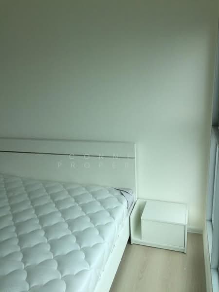 Aspire Sukhumvit 48, Bangkok, Sukhumvit Road, Phra Kanong, Khlong Toei, Bangkok, 2 Bedrooms, 54 sqm, Condo For Rent, by Connex Property, 500232562 - DDproperty.com