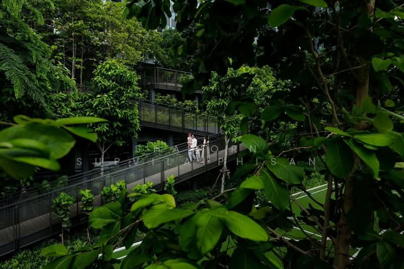 Life Sathorn Sierra : ไลฟ์ สาทร เซียร์รา, กรุงเทพ, ถนนราชพฤกษ์, ตลาดพลู, ธนบุรี, กรุงเทพ, 35 ตร.ม., คอนโด ให้เช่า, โดย Shaporn Supvilaiphisan, 500232575 - DDproperty.com