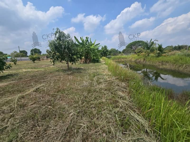 ขาย - ขาย ที่ดินเปล่า 1 ไร่ ทำเลน่าอยู่ใกล้ตัวเมืองนครนายก เดินทางสะดวกจากถนนสุวรรณศร รายล้อมด้วยตลาด โรงพ, นครนายก