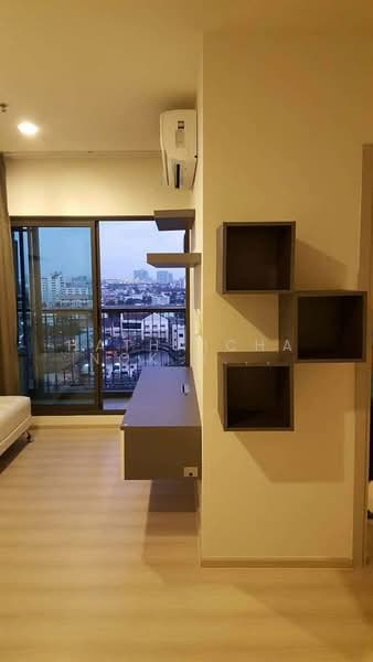 Life Sukhumvit 48 : ไลฟ์ สุขุมวิท 48, กรุงเทพ, ซอยสุขุมวิท 48, พระโขนง, คลองเตย, กรุงเทพ, 49 ตร.ม., คอนโด ให้เช่า, โดย Hathaichanok Saenset, 500232687 - DDproperty.com