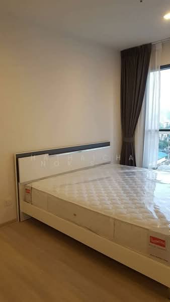 Life Sukhumvit 48, Bangkok, Soi Sukhumvit 48, Phra Kanong, Khlong Toei, Bangkok, 2 Bedrooms, 49 sqm, Condo For Rent, by Hathaichanok Saenset, 500232687 - DDproperty.com