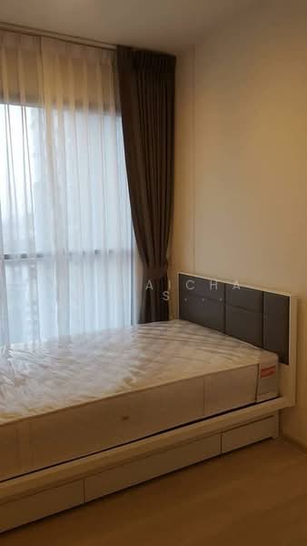 Life Sukhumvit 48, Bangkok, Soi Sukhumvit 48, Phra Kanong, Khlong Toei, Bangkok, 2 Bedrooms, 49 sqm, Condo For Rent, by Hathaichanok Saenset, 500232687 - DDproperty.com