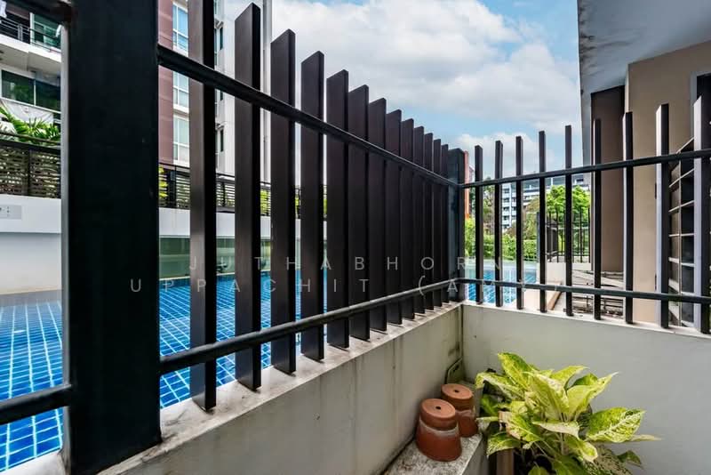Tree Condo Sukhumvit 52, Bangkok, Soi SuKhumvit 52, Bang Chak, Phra Khanong, Bangkok, 1 Bedroom, 60 sqm, Condo For Rent, by Juthabhorn Uppachit (Amy), 500232729 - DDproperty.com