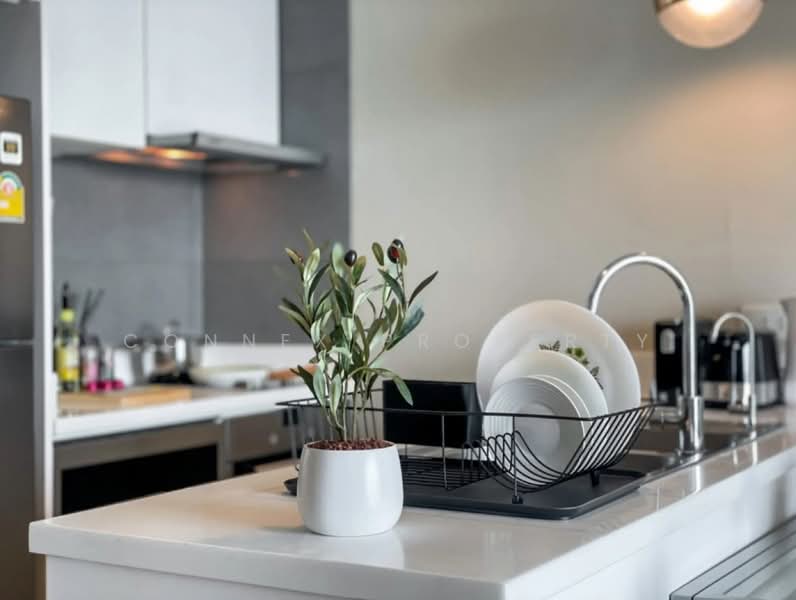 Aequa Sukhumvit 49, Bangkok, Soi Sukhumvit 49, Sukhumvit Road, Khlong Tan Nua, Watthana, Bangkok, 1 Bedroom, 62 sqm, Condo For Rent, by Connex Property, 500232763 - DDproperty.com