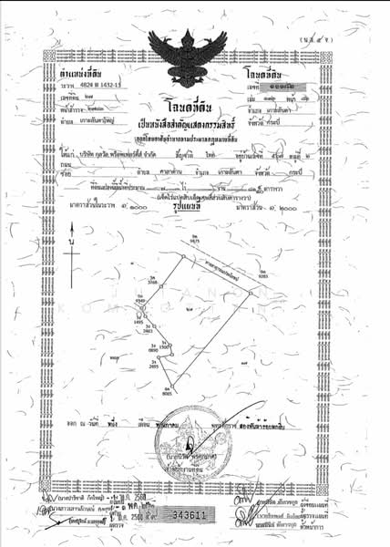 ขายที่ดินเกาะปอ 7 ไร่ ติดชายหาดส่วนตัว ตำบลศาลาด่าน อำเภอเกาะลันตา จังหวัดกระบี่ 81150, กระบี่, ศาลาด่าน, เกาะลันตา, กระบี่, 11,200 ตร.ม., ที่ดิน ขาย, โดย Jutanon Komoottanaruk, 500232851 - DDproperty.com