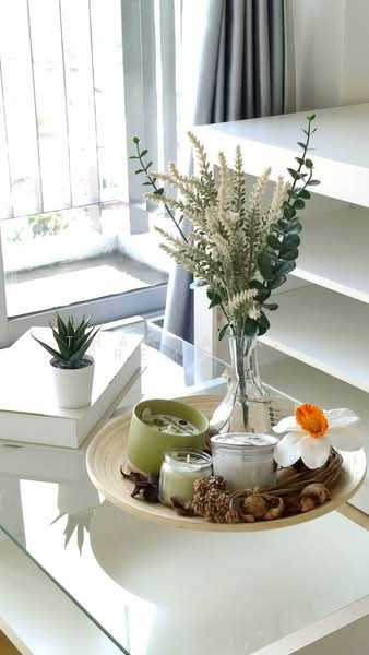 ให้เช่า - The Parkland Taksin-Thapra : เดอะ พาร์คแลนด์ ตากสิน-ท่าพระ, กรุงเทพ