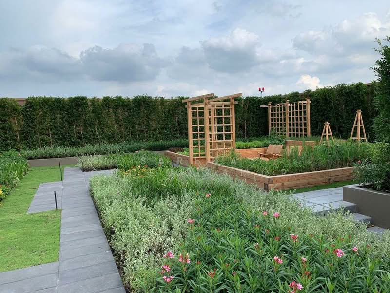 Oka Haus Sukhumvit 36 : โอกะ เฮ้าส์ สุขุมวิท 36, กรุงเทพ, 3399 ถนนพระรามที่ ๔, คลองตัน, คลองเตย, กรุงเทพ, 50 ตร.ม., คอนโด ให้เช่า, โดย Sarena Choengsamor, 500233281 - DDproperty.com