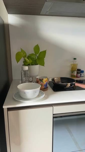 The Room Rama 4, Bangkok, 777 Rama 4 Road, Rong Muang, Pathum Wan, Bangkok, 1 Bedroom, 45 sqm, Condo For Rent, by Somrad Phoopruksachart, 500233420 - DDproperty.com