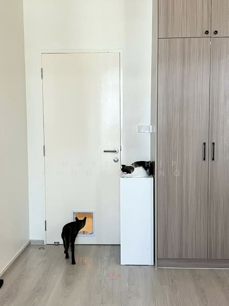 Villaggio 3 Srinakarin-Bangna, Samut Prakan, Bang Kaeo, Bang Plee, Samut Prakan, 3 Bedrooms, 160 sqm, Single Detached House For Rent, by Charinthip Phungalong, 500233726 - DDproperty.com