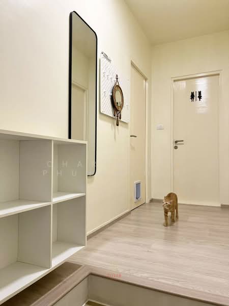 Villaggio 3 Srinakarin-Bangna : วิลลาจจิโอ 3 ศรีนครินทร์-บางนา, สมุทรปราการ, บางแก้ว, บางพลี, สมุทรปราการ, 160 ตร.ม., บ้านเดี่ยว ให้เช่า, โดย Charinthip Phungalong, 500233726 - DDproperty.com