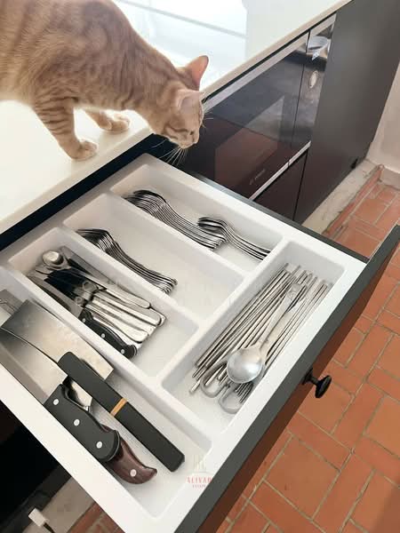 Villaggio 3 Srinakarin-Bangna : วิลลาจจิโอ 3 ศรีนครินทร์-บางนา, สมุทรปราการ, บางแก้ว, บางพลี, สมุทรปราการ, 160 ตร.ม., บ้านเดี่ยว ให้เช่า, โดย Charinthip Phungalong, 500233726 - DDproperty.com