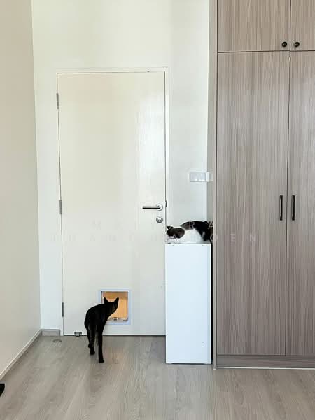 Villaggio 3 Srinakarin-Bangna, Samut Prakan, Bang Kaeo, Bang Plee, Samut Prakan, 3 Bedrooms, 122 sqm, Single Detached House For Rent, by Maiyara Juancharoen, 500233838 - DDproperty.com