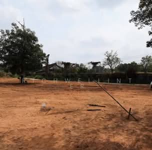 ขาย - ขายที่ดินเกาะขนุน 2 ไร่ ถมแล้วซอยไร่ดอน8 ใกล้ตลาดสดเกาะขนุน-3กม. พนมสารคาม, ฉะเชิงเทรา