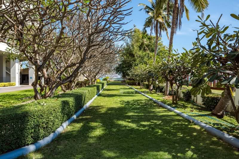 Palm Pavilion Hua Hin : ปาล์มพาวิลเลี่ยน หัวหิน, ประจวบคีรีขันธ์, ถนน เพชรเกษม, หัวหิน, หัวหิน, ประจวบคีรีขันธ์, 140 ตร.ม., คอนโด ขาย, โดย สุภัทร สังขมณี, 500233909 - DDproperty.com