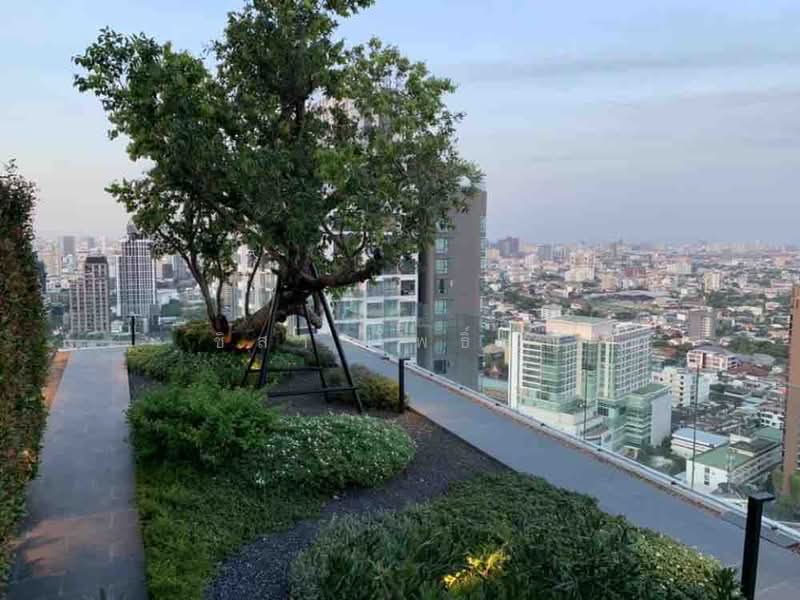 Siamese Exclusive 42, Bangkok, 19 Sukhumvit 42, Khlong Toei, Khlong Toei, Bangkok, 1 Bedroom, 35 sqm, Condo For Rent, by ชิสา โพธิ์บุญ, 500233916 - DDproperty.com