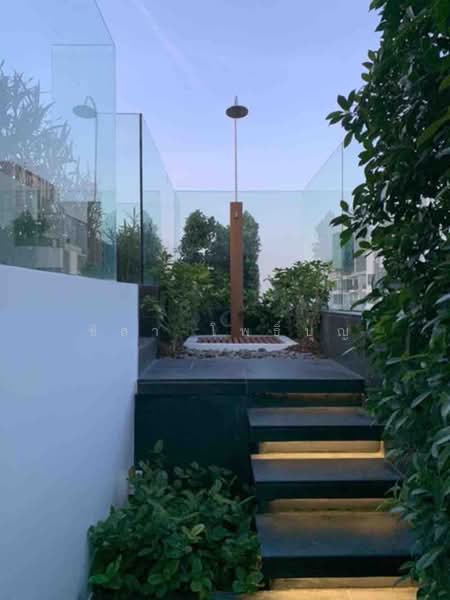 Siamese Exclusive 42 : ไซมิส เอ๊กซ์คลูซีพ 42, กรุงเทพ, 19 สุขุมวิท 42, คลองเตย, คลองเตย, กรุงเทพ, 35 ตร.ม., คอนโด ให้เช่า, โดย ชิสา โพธิ์บุญ, 500233916 - DDproperty.com