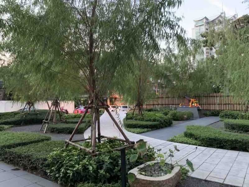 Siamese Exclusive 42, Bangkok, 19 Sukhumvit 42, Khlong Toei, Khlong Toei, Bangkok, 1 Bedroom, 35 sqm, Condo For Rent, by ชิสา โพธิ์บุญ, 500233916 - DDproperty.com